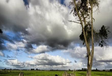 雷火电竞平台APP-亚平宁月光下的叹息：当蓝色浪漫遇冷酷高卢铁蹄