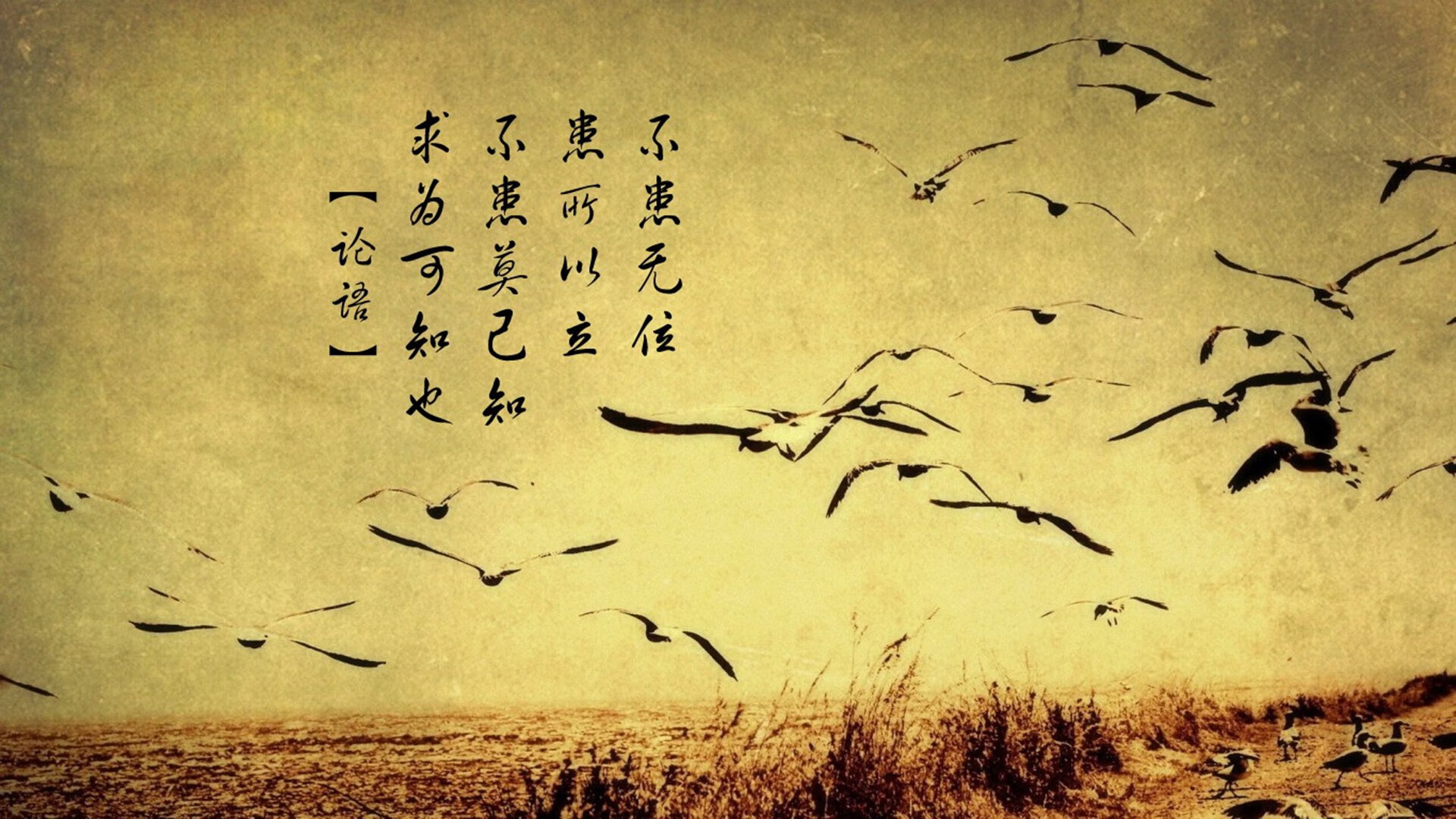 寂静、黑暗、割裂,贝恩用一场三分暴雨,浇熄了丹佛高原的火焰