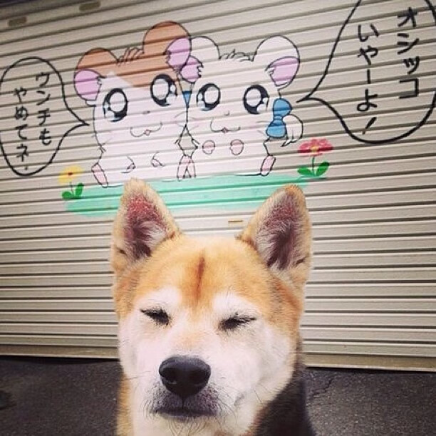 黄潜远征记,罗德里一箭穿心,比利亚雷亚尔从美国带走胜利