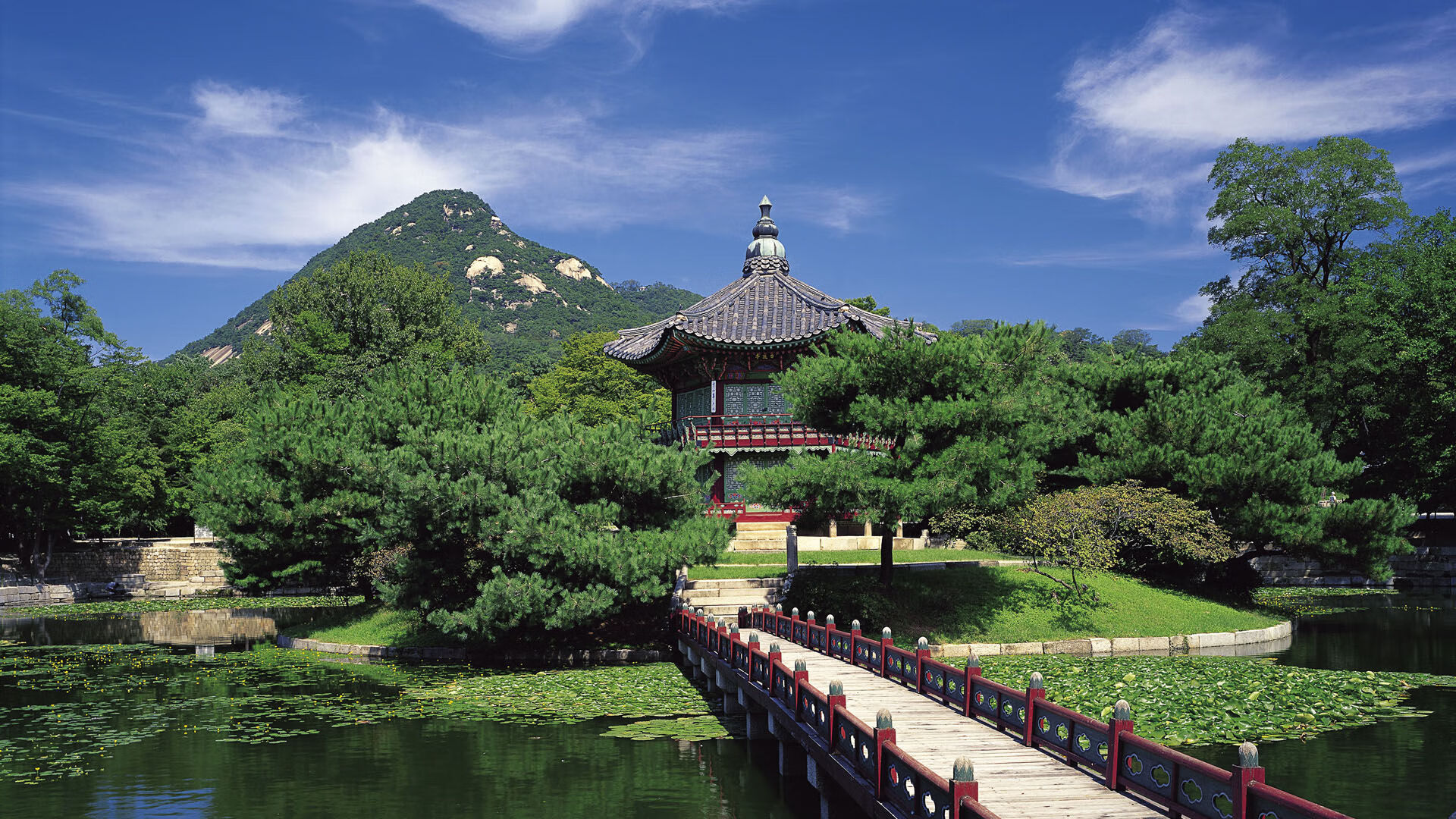 极速与新章,当F1巴林引擎轰鸣,深圳队已掀翻步行者